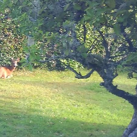 Aquila Retreats Panzió Comrie Kültér fotó